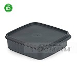 Квадратна кутия с 3 разпределения пластмасова с капак BPA Free2