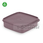 Квадратна кутия с 3 разпределения пластмасова с капак BPA Free
