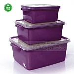Комплект от 3 пластмасови правоъгълни цветни кутии с капак BPA Free2