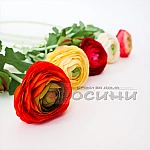 Изкуствено цвете Ранункулус различни цветове3