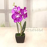 Мини орхидея в саксия/изкуствени цветя2