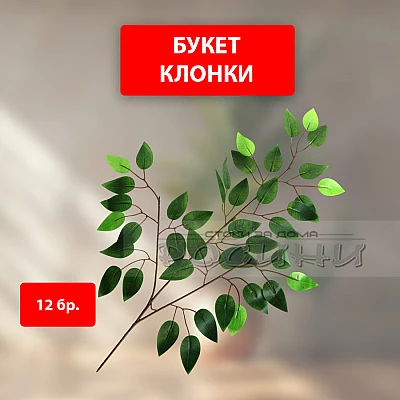 Букет клонки с листа 12бр