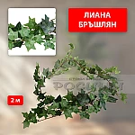 Декоративна лиана Бръшлян 2м1
