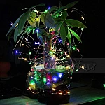 Соларни LED микро лампички 10м 100 светлини 8 режима8