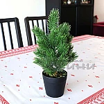 Коледна мини елха в саксия 25 см2