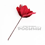 Коледно цвете Червено кадифе 30см4