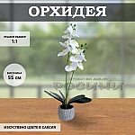 Цвете в саксия Орхидея ГОЛЯМА1