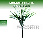 Букет Момина сълза