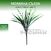 Букет Момина сълза
