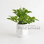 Ваза кашпа Маска1